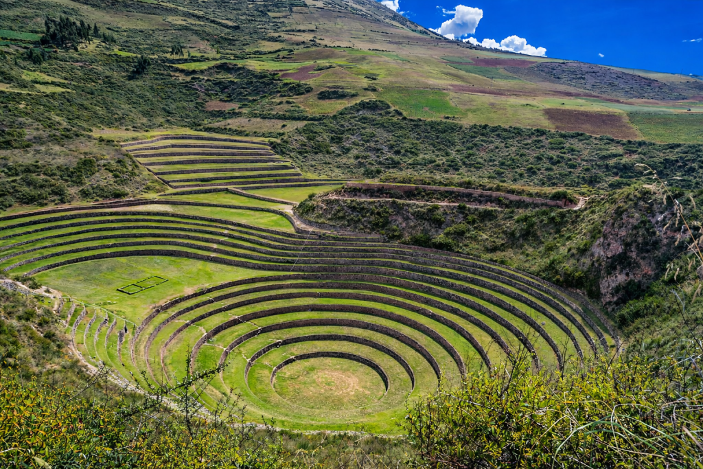 Moray
